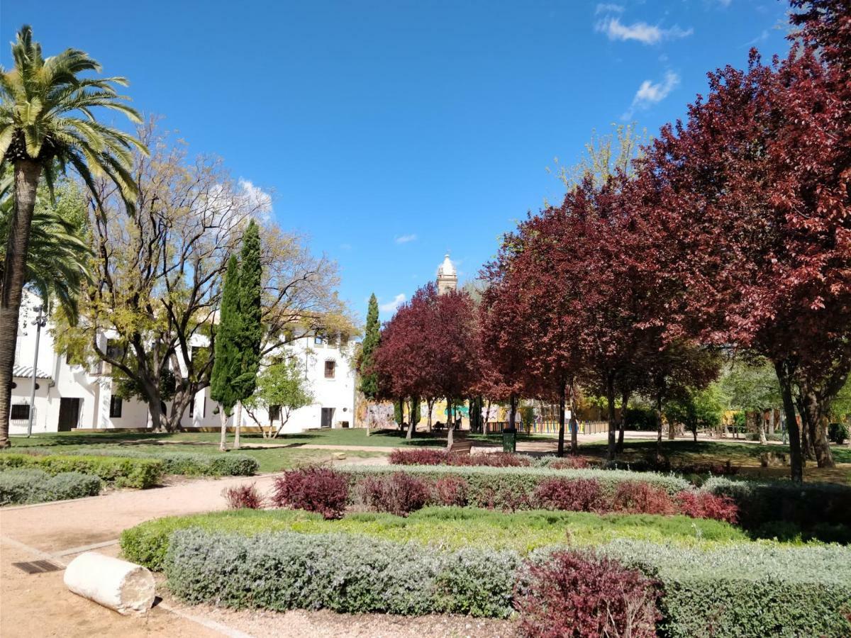 El Rincon De Orive * Còrdova