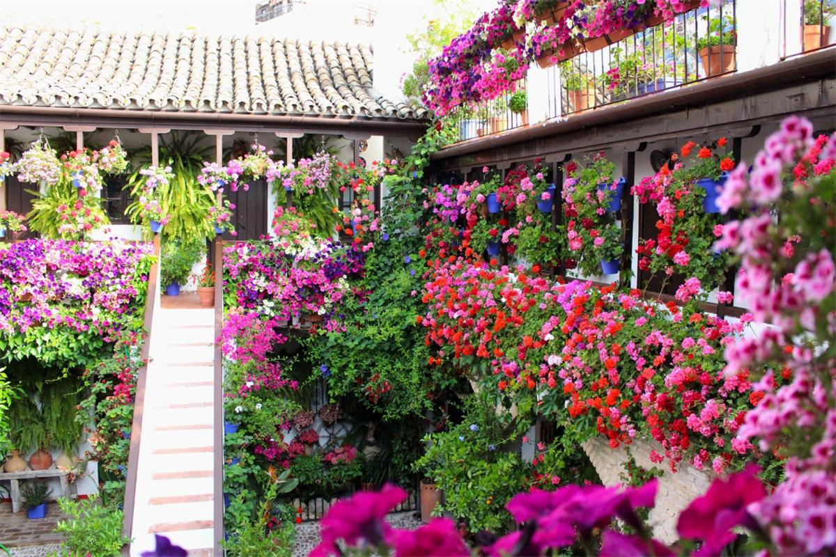 El Rincon De Orive Cordoba